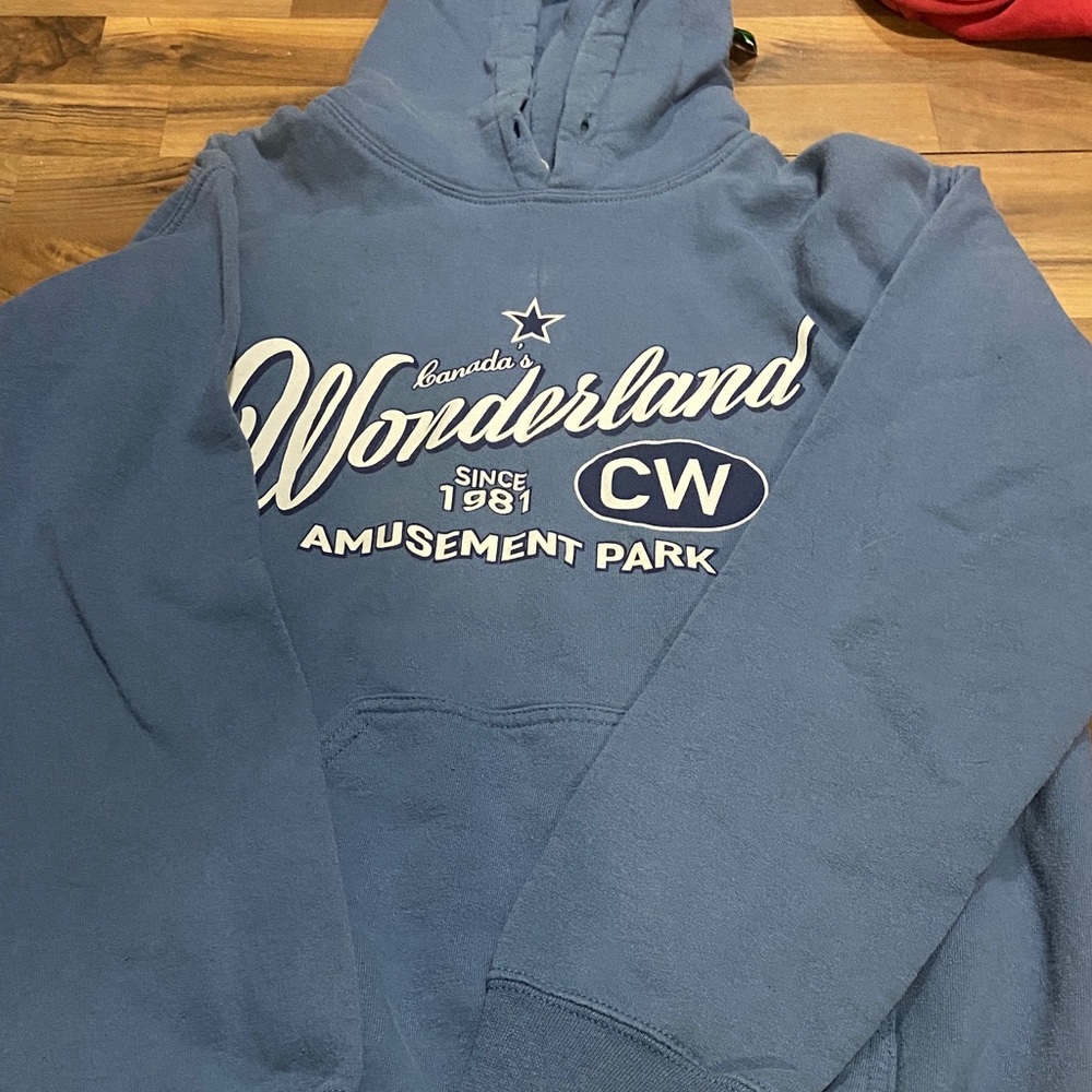 Wonderland Amusement Park CW Blue Hoodie